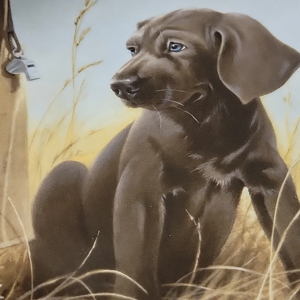 Vtg 89 Weimaraner Field Puppies Command Performance United Kennel Club Dog Plate